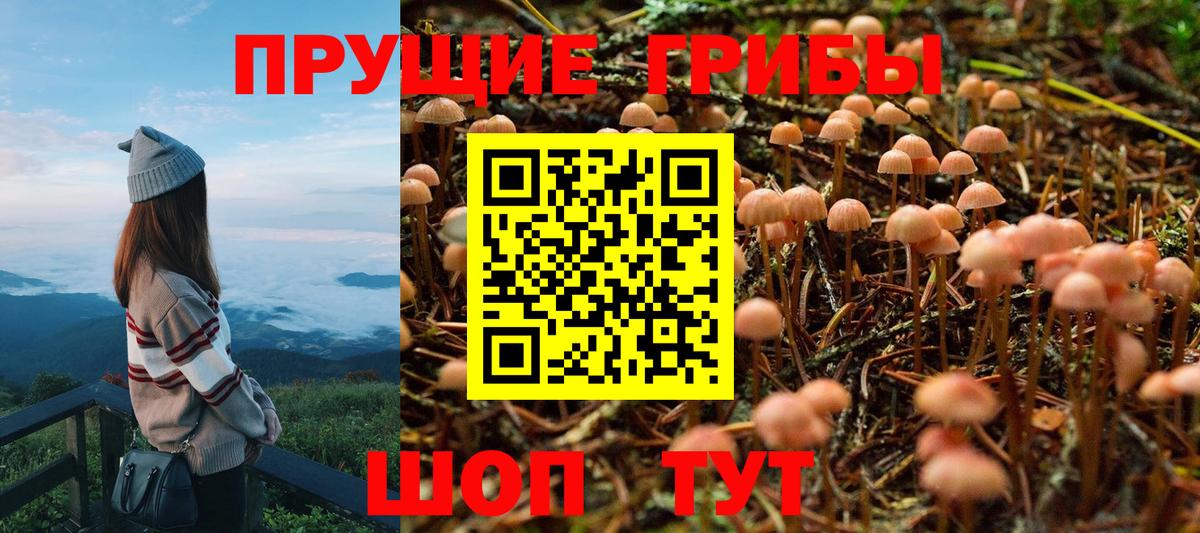 Псилоцибиновые грибы прущие грибы  Галлюциногенные грибы MAGIC MUSHROOMS  Вход с VPN  Минеральные Воды 
